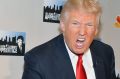TV Personality Donald Trump attends the "Celebrity Apprentice All Stars" Season 13 Press Conference in 2012 in New York ...