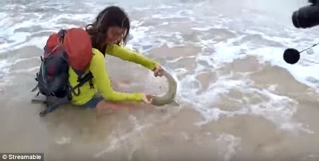 As the 35-year-old Brazilian wrestled with the shark, it bit her in the hand and she struggled to release its grip