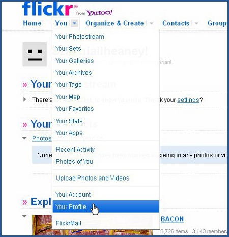 Flickr - Your Profile