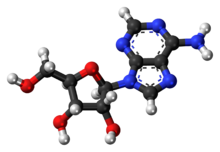 Adenosine-3D-balls.png