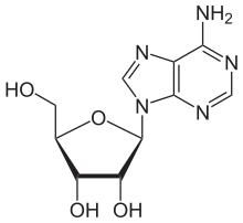 Adenosin.svg