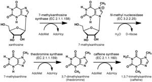 Synthesis diagram