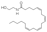 Anandamide skeletal.svg