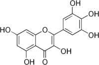 Skeletal formula of myricetin