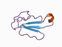 PDB 1ctx EBI.jpg