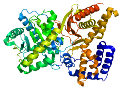 Protein CHAT PDB 2fy2.png