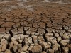 Wagin farmer Andrew Scanlon in a dry dam on his drought affected property. PICTURE: NIC ELLIS    THE WEST AUSTRALIAN