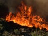 7 News stills of the Bedfordale fire.