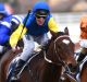 Form at the track and distance: Brad Rawiller and Black Heart Bart (left) take out the Memsie Stakes in August.