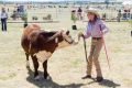 Australia exports cattle to Japan. Pictured: a cattle show in New South Wales.