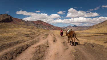 The horse women and men of the Vinicunca Mountain(Rainbow Mountain) communities in the Peruvian Andes. These men and ...