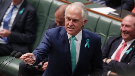 Prime Minister Malcolm Turnbull during question time.