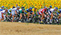 Tour de France and all this year's cycling news