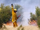 A firefighter signals to CFA colleagues in the Bunyip State Forest