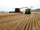 A chaser bin drives alongside a header as it harvests wheat