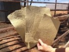 Making paper out of spinifex