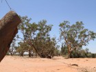 Rain is badly needed at Broken Hill in New South Wales.