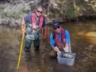 Two men wearing wading gear and holding technical equipment stand in a river and one holds a fish