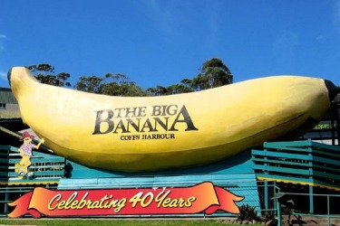 The Big Banana