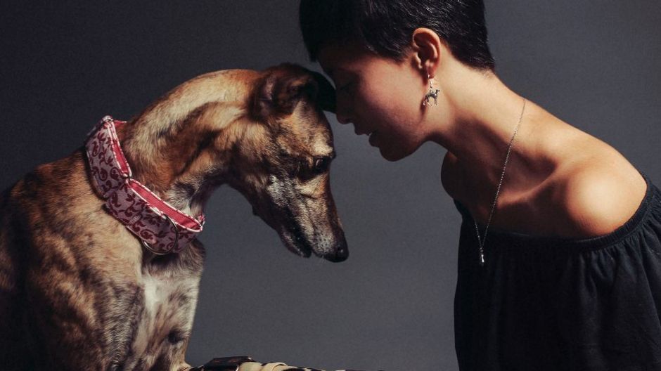 Project Hound: 'Millie the greyhound and Nora'