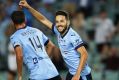 Reputation building: Milos Ninkovic celebrates a beautifully taken goal. 