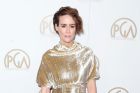 Sarah Paulson attends the 28th Annual Producers Guild Awards at The Beverly Hilton Hotel on January 28, 2017 in Beverly ...