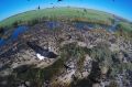 Drone-mounted cameras make it easier to capture images in difficult locations, like this ibis colony.