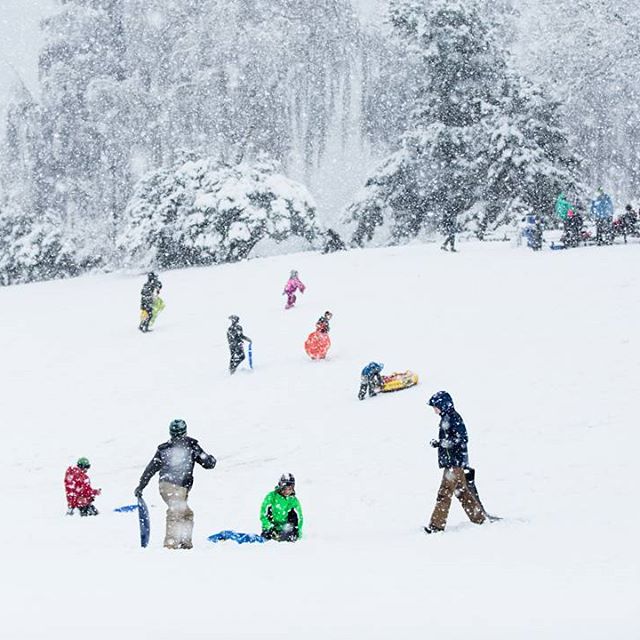 Kids take advantage of a snow day on a hill at Jefferson Park on Monday, Feb. 6, 2017. Snowfall ranging from an inch or two downtown to as much as 14 inches in Graham triggered school closures, road closures or delays, and airport backups. By 2 p.m., most areas around Seattle saw the snow switch to rain or precipitation taper off altogether. Photo by @insta__grant #Seattlelife #Seattlesnow #SeattleSnowDay