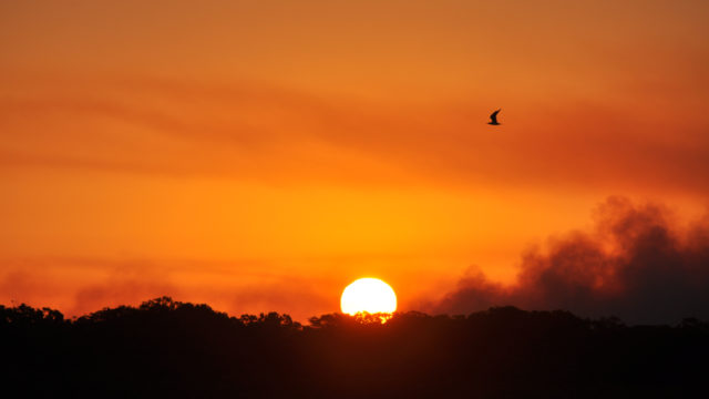 Buckle Up, Australia: The Air Is Made Of Fire