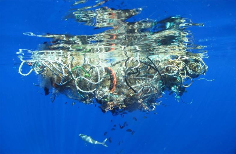 2050年の海は魚でなく、プラスチックで溢れかえる