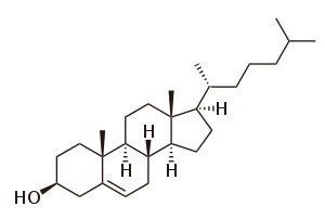 Cholesterol.svg