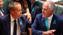 Bill Shorten and Malcolm Turnbull trade barbs during Question Time.