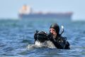 Dr Julian Finn explores the water at Williamstown for the weirdest marine creatures.