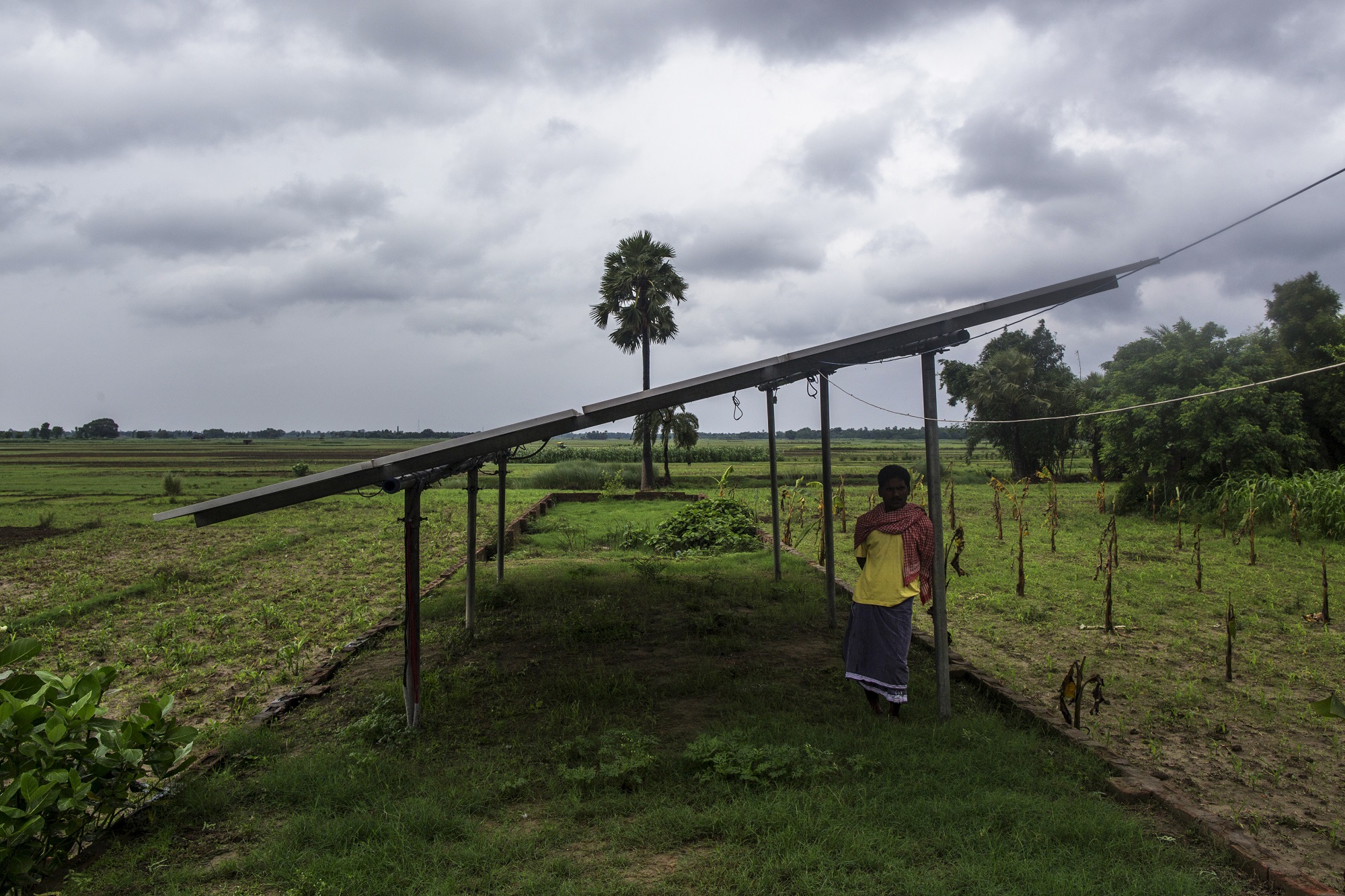 A man stands under solar panels, part of a solar power microgrid owned and operated by Veddis Solars Pvt., in the village of Kayam, Bihar, India, on Friday, July 10, 2015. While Prime Minister Narendra Modi's ambition has led billionaires such as Foxconn Technology Group's Terry Gou to pledge investment, the question remains whether the 750 million Indians living on less than $2 per day can afford or will embrace green energy. Photographer: Prashanth Vishwanathan/Bloomberg