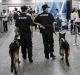 Police officers and sniffer dogs on patrol.