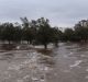 The Avon River is rising fast.