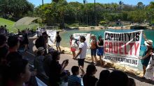 Sea World protest.