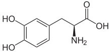 3,4-Dihydroxy-L-phenylalanin (Levodopa).svg