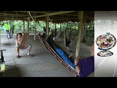 The Truth About Ayahuasca