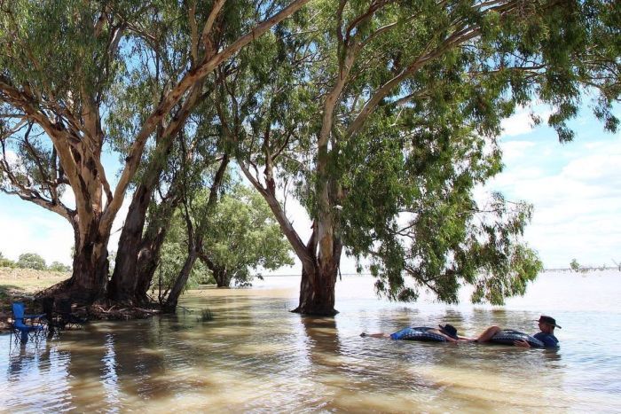 Revellers in Lake Pamamaroo during the heatwave