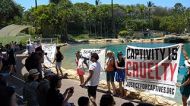 Sea World protest.