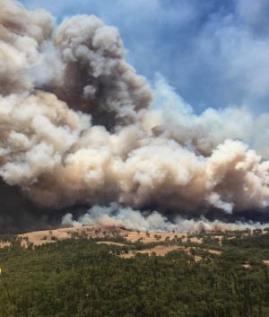 Sir Ivan bushfire, near Dunedoo. 12 February 2017. Photo NSW Rural Fire Service