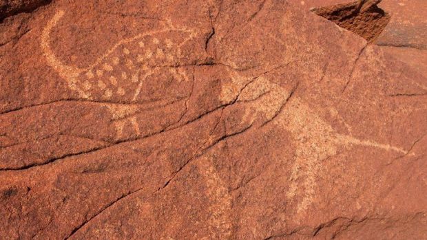 Petroglyphs of mammals on Burrup Peninsula rocks.