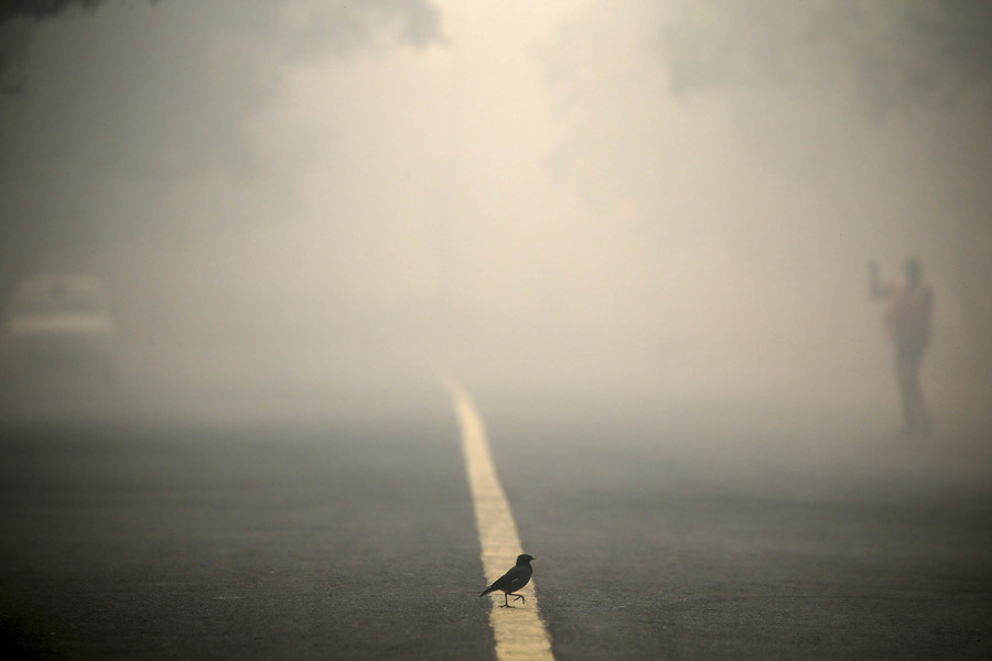 A bird crosses a smog covered road in New Delhi, India, October 31, 2016. (Cathal McNaughton, Reuters)