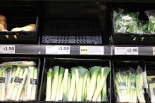 UK's vegetable crisis sees supermarkets with empty shelves as they struggle to meet demand