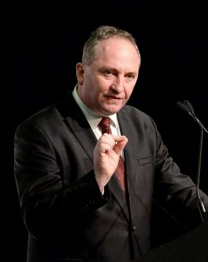 Federal Nationals leader Barnaby Joyce urged WA Premier Colin Barnett to reconsider a deal with One Nation.