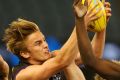 Harry Morrison marks during the 2016 TAC Cup grand final.