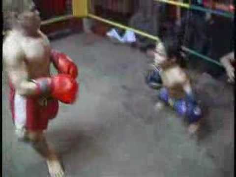 midgets boxing