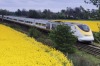 Travel Europe by train with a Eurail pass.