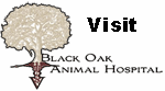 Black Oak Animal Hospital